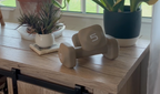 Neoprene Dumbbell Pairs with Anti-Roll Square Heads